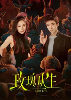 玫瑰丛生电视剧